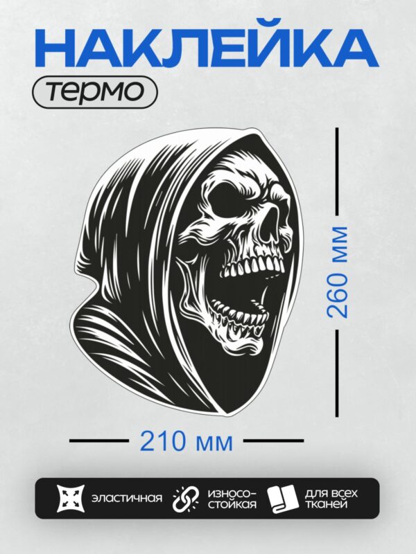 Термонаклейка на одежду DTF / Череп в капюшоне, мрачный и детализированный.