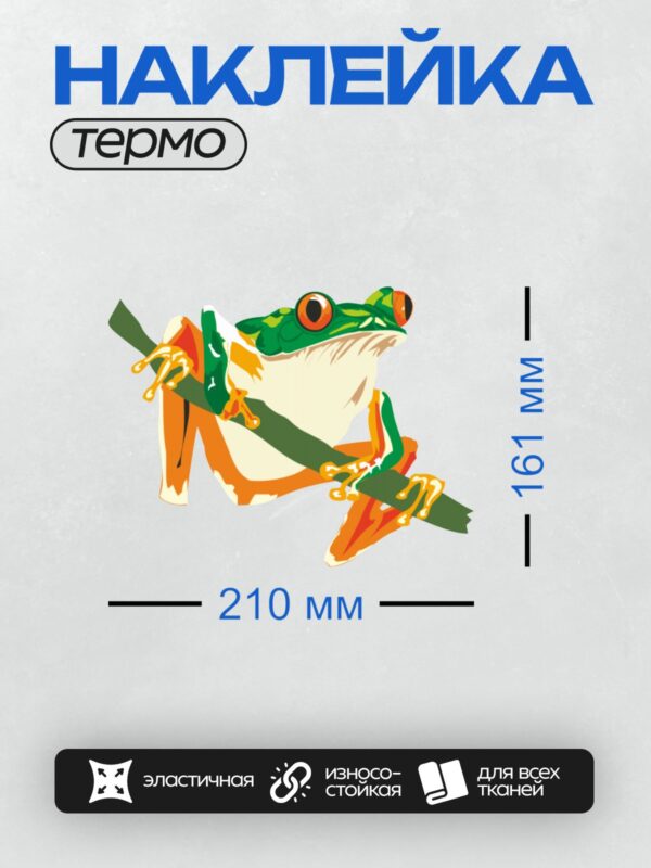 Термонаклейка на одежду DTF / Мультяшная красноглазая квакша на ветке.