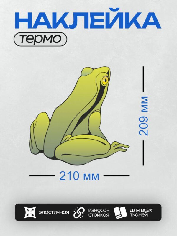 Термонаклейка на одежду DTF / Мультяшная лягушка с большими глазами и яркой окраской.