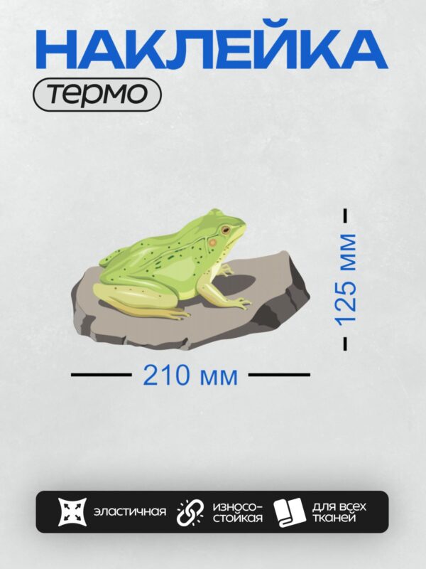 Термонаклейка на одежду DTF / Мультяшная зелёная лягушка сидит на камне.