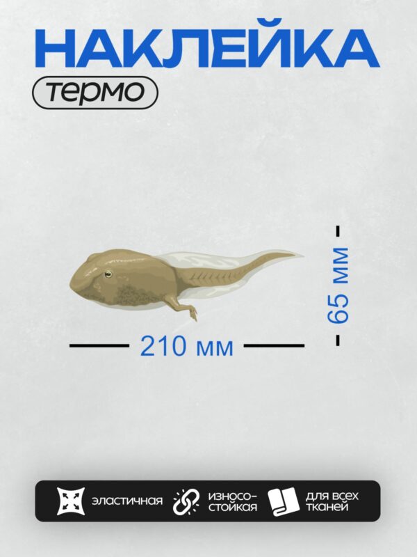 Термонаклейка на одежду DTF / Головастик жабы с длинным хвостом и коричневой окраской.