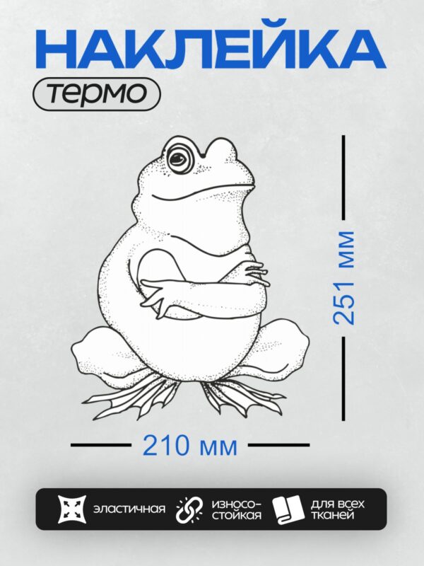 Термонаклейка на одежду DTF / Мультяшная лягушка с большими глазами и скрещёнными лапами.