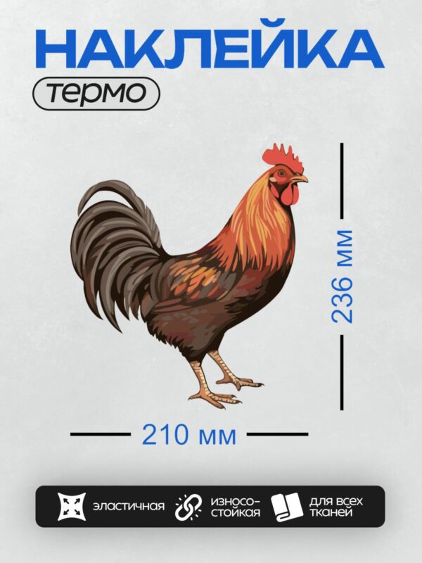 Термонаклейка на одежду DTF / Мультяшный петух с ярким гребнем и пышным хвостом.