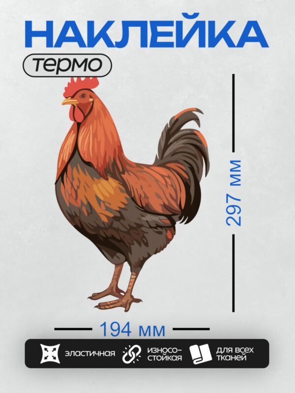 Термонаклейка на одежду DTF / Мультяшный петух с красным гребнем и ярким оперением.