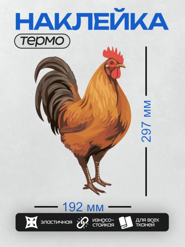 Термонаклейка на одежду DTF / Мультяшный петух с красным гребнем и ярким оперением.