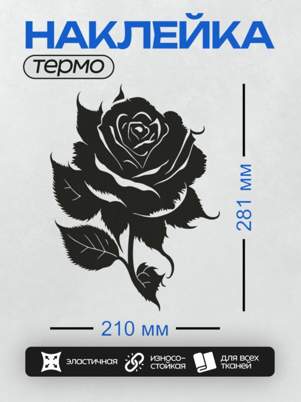 Термонаклейка на одежду DTF / Чёрная роза с белыми контурами, векторная графика.