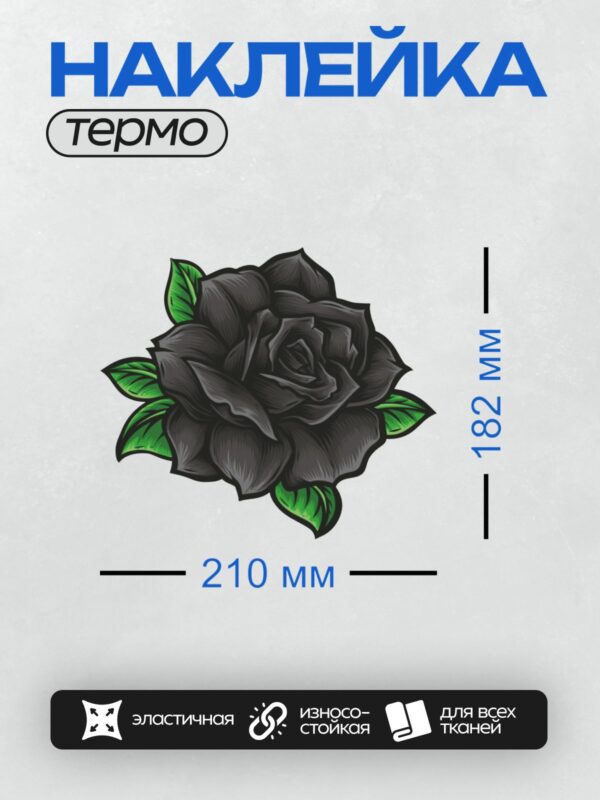 Термонаклейка на одежду DTF / Чёрная роза с яркими зелёными листьями.