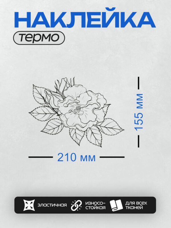 Термонаклейка на одежду DTF / Контурный рисунок розы с листьями для раскрашивания.