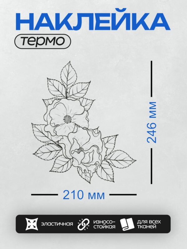 Термонаклейка на одежду DTF / Черно-белый рисунок цветов шиповника с листьями.