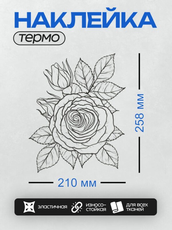 Термонаклейка на одежду DTF / Роза с листьями и бутоном, детализированный контур.