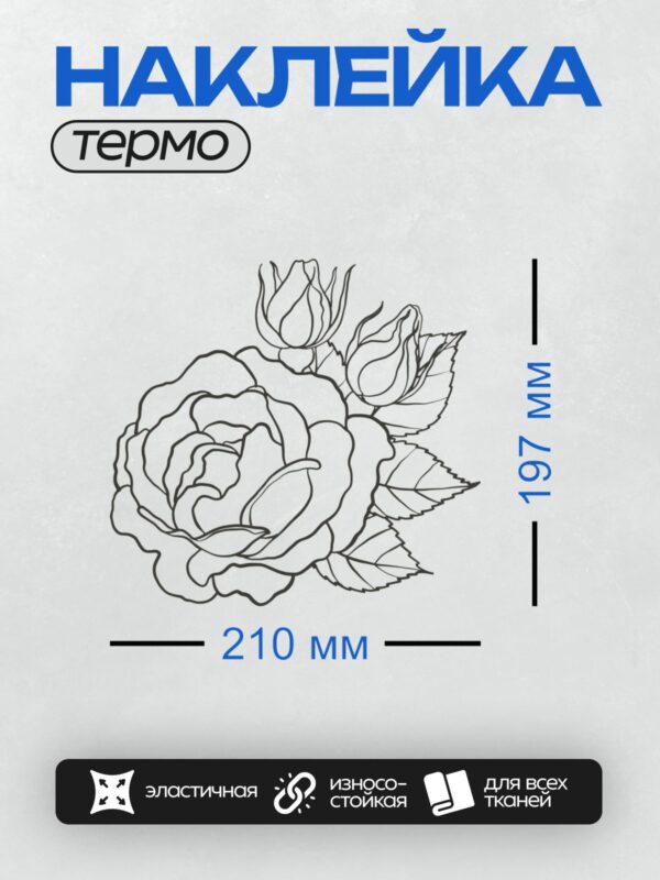 Термонаклейка на одежду DTF / Контурный рисунок роз с листьями и бутонами.