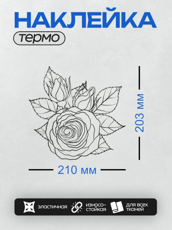 Термонаклейка на одежду DTF / Контурный рисунок розы с листьями и бутонами.