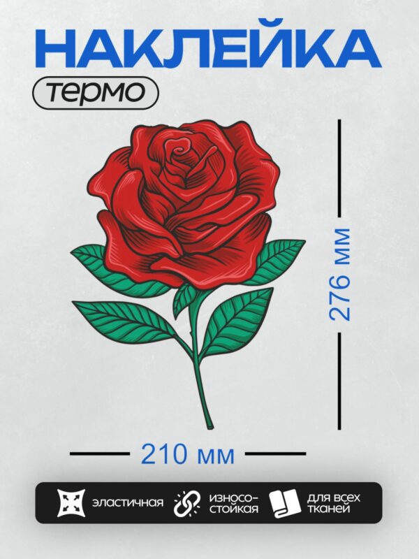 Термонаклейка на одежду DTF / Красная роза с зелёными листьями, яркий и детализированный рисунок.