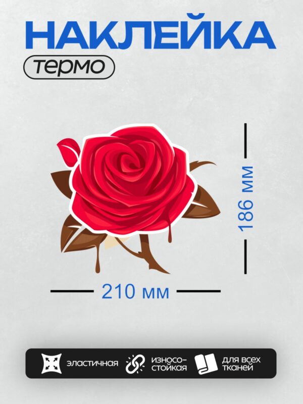 Термонаклейка на одежду DTF / Красная роза с шоколадными потеками.
