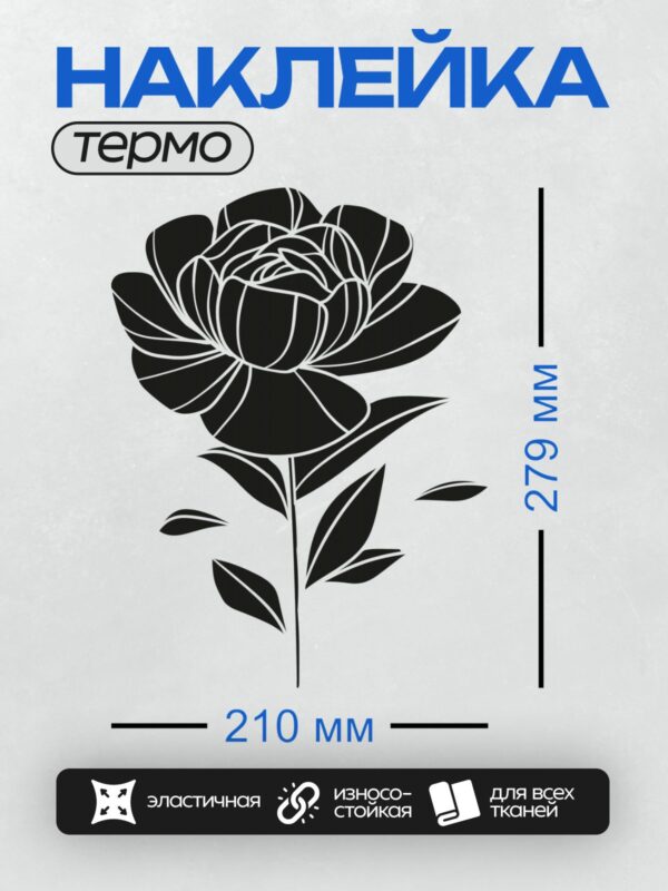 Термонаклейка на одежду DTF / Черно-белая роза с четкими линиями и листьями.