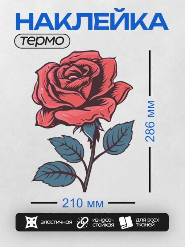 Термонаклейка на одежду DTF / Красная роза с синими листьями, трафаретный стиль.