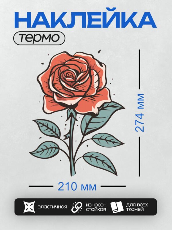 Термонаклейка на одежду DTF / Красная роза с листьями, контурный стиль, яркие цвета.