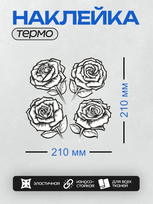 Термонаклейка на одежду DTF / Черно-белые розы с листьями в минималистичном стиле.