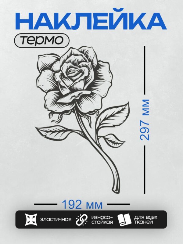 Термонаклейка на одежду DTF / Черно-белая роза с листьями, контурный стиль.
