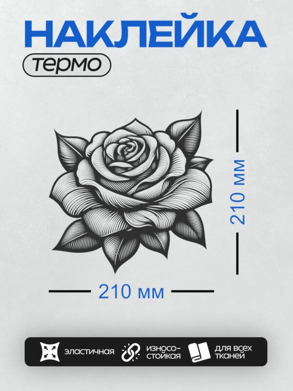 Термонаклейка на одежду DTF / Черно-белая роза в контурном стиле, детализированная.