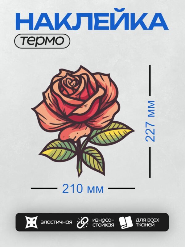 Термонаклейка на одежду DTF / Роза с листьями, яркий трафаретный стиль.