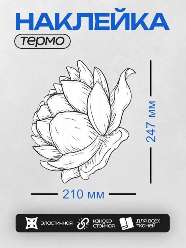Термонаклейка на одежду DTF / Черно-белый лотос, изящный контур, минимализм.