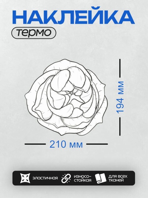 Термонаклейка на одежду DTF / Контурный рисунок цветной капусты с детализированными соцветиями.