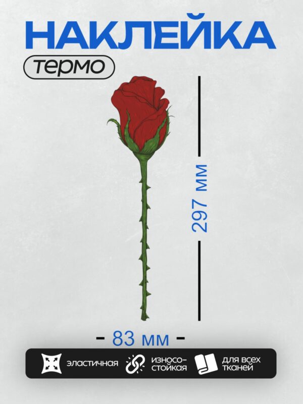 Термонаклейка на одежду DTF / Красная роза с длинным стеблем и шипами.