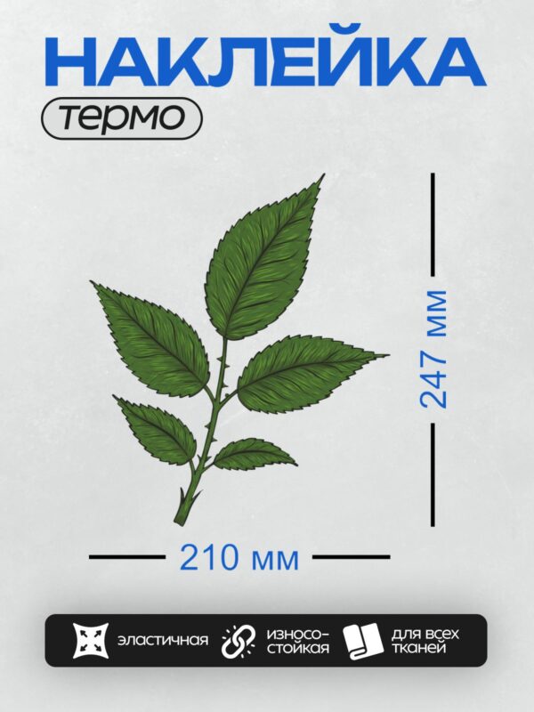 Термонаклейка на одежду DTF / Иллюстрация зелёных листьев розы с шипами.