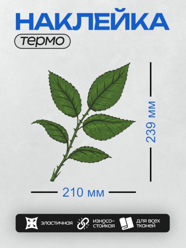Термонаклейка на одежду DTF / Зеленые листья розы с четкими прожилками и шипами.