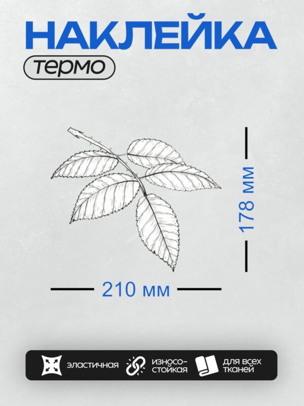 Термонаклейка на одежду DTF / Листья шиповника, изящно прорисованные в черно-белом стиле.