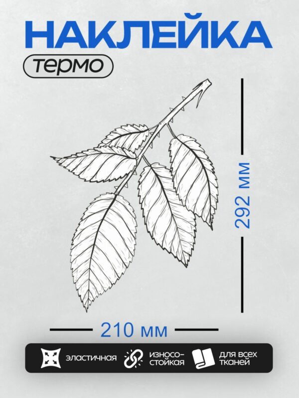 Термонаклейка на одежду DTF / На изображении показана ветка розы с листьями и шипами. Листья имеют заостренные края, а шипы расположены вдоль стебля.