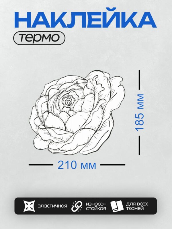 Термонаклейка на одежду DTF / Черно-белый контурный рисунок капусты.