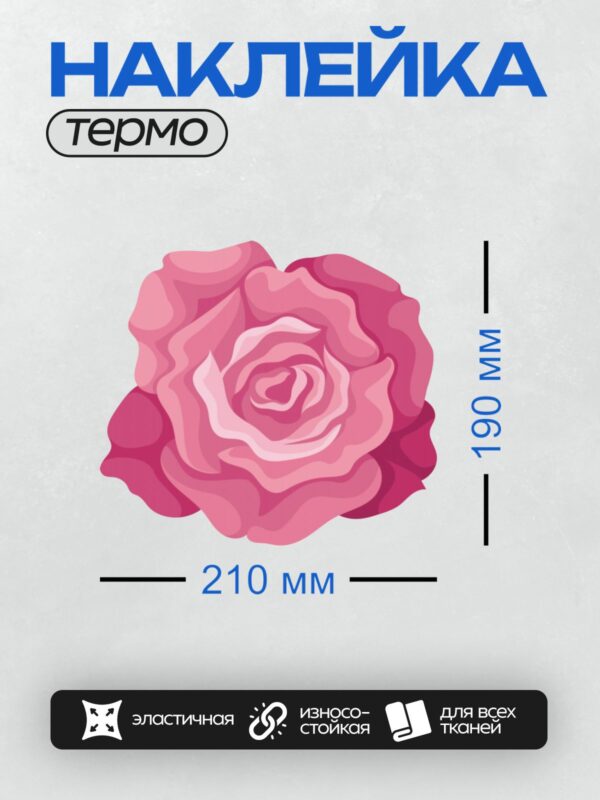 Термонаклейка на одежду DTF / Яркая розовая роза с плавными градиентными переходами.