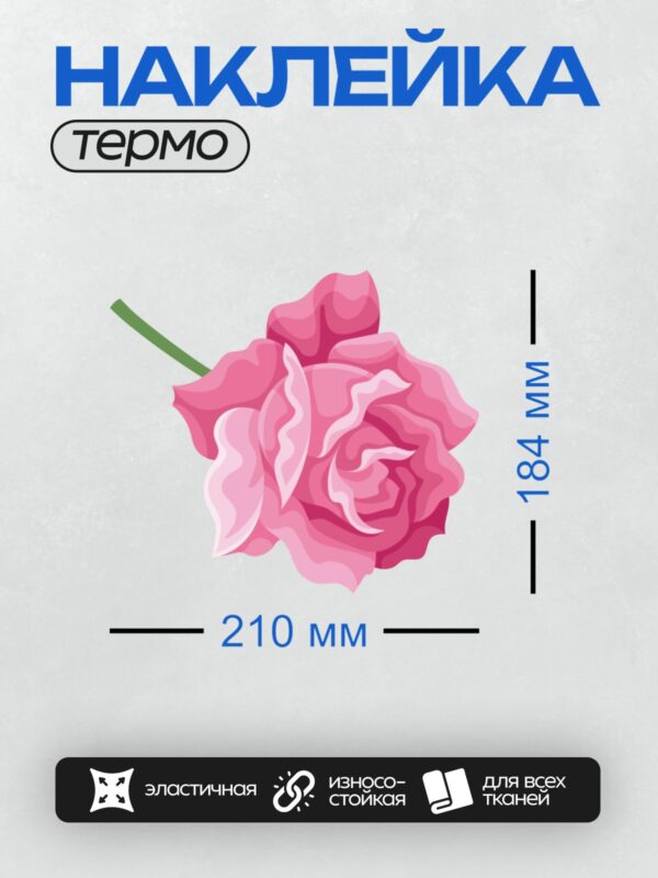 Термонаклейка на одежду DTF / Розовая роза с плавными акварельными переходами.
