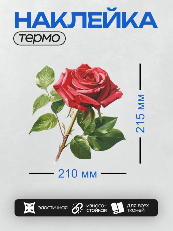 Термонаклейка на одежду DTF / Красная роза с зелеными листьями, яркий и детализированный рисунок.