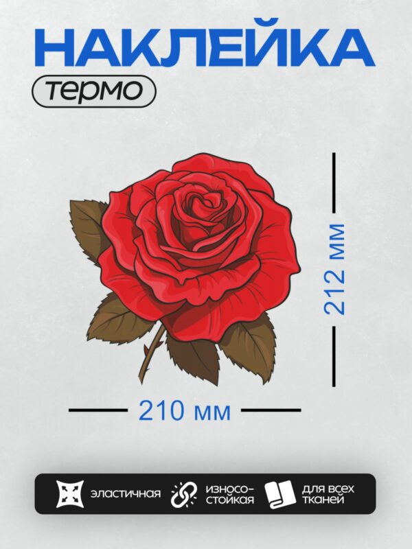 Термонаклейка на одежду DTF / Яркая красная роза с четкими контурами и листьями.