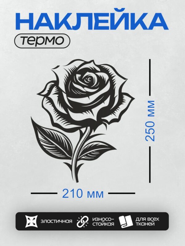 Термонаклейка на одежду DTF / Черно-белая роза с листьями, контурный стиль.