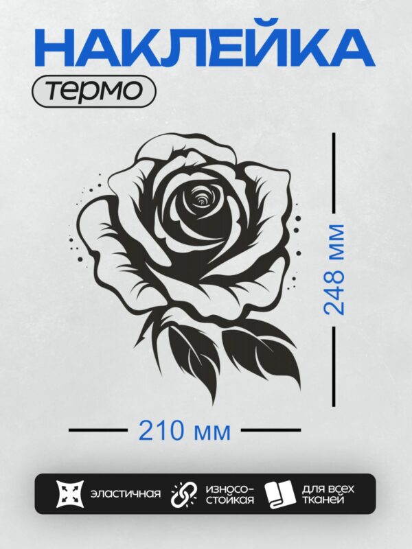Термонаклейка на одежду DTF / Черно-белая роза с четкими контурами и листьями.