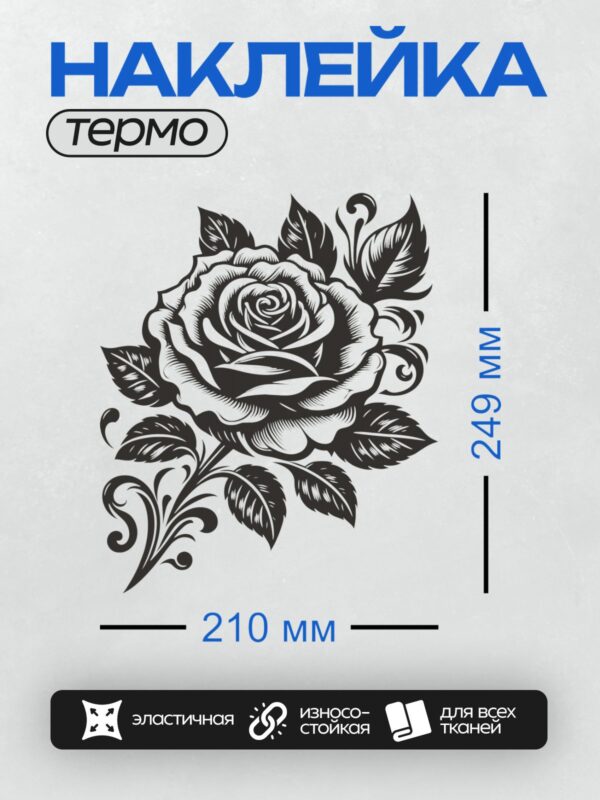 Термонаклейка на одежду DTF / Черно-белая роза с листьями и декоративными завитками.