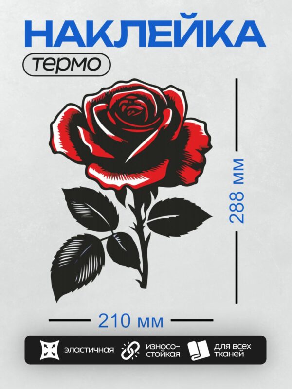 Термонаклейка на одежду DTF / Красная роза с черными листьями, контурный стиль.