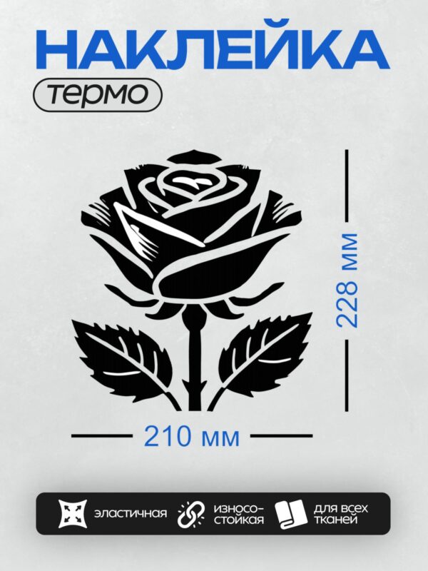 Термонаклейка на одежду DTF / Черно-белая роза с листьями, стилизованный рисунок.