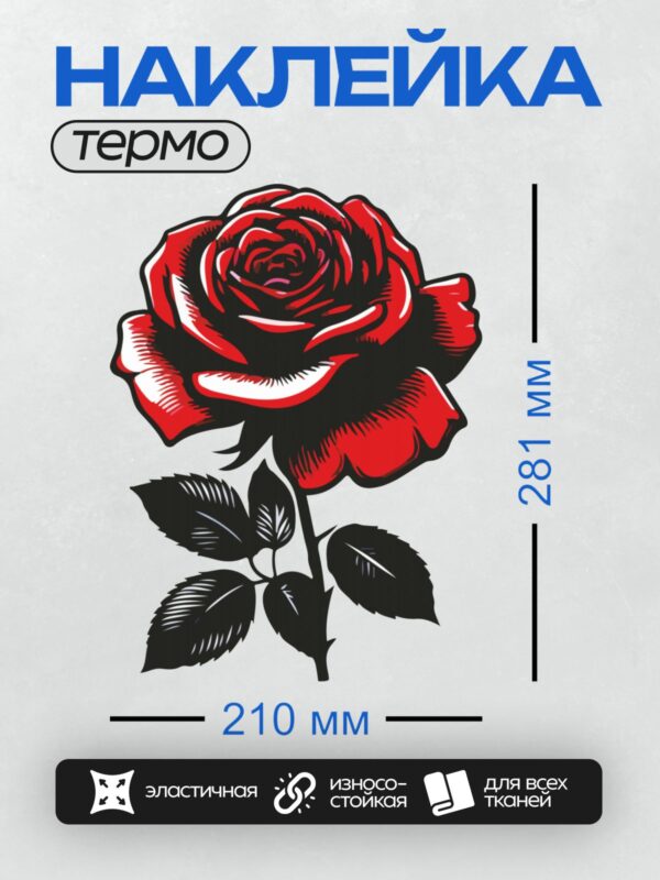 Термонаклейка на одежду DTF / Красная роза с черными контурами, минималистичный стиль.
