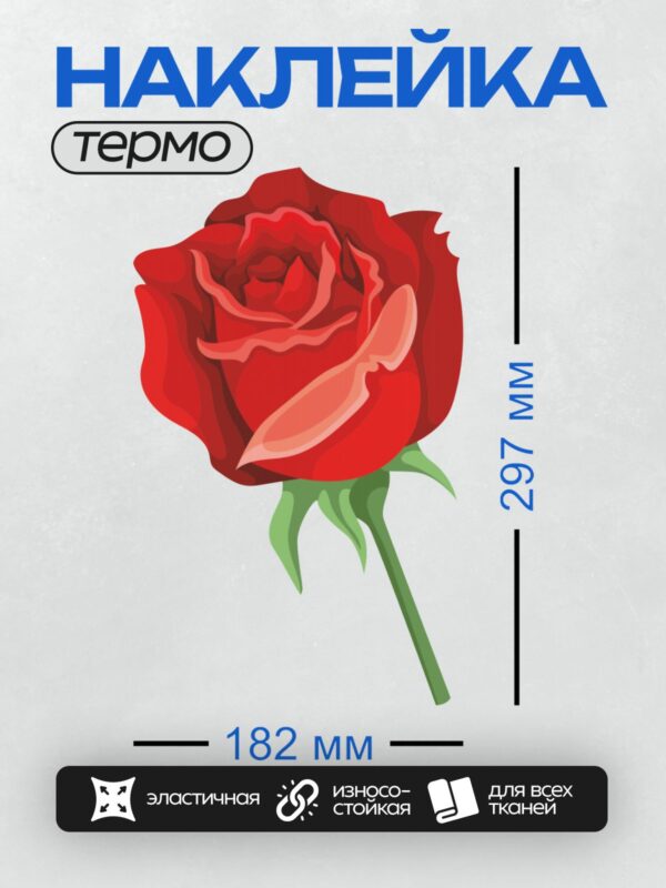 Термонаклейка на одежду DTF / Красная роза с зелёными листьями, стилизованное изображение.