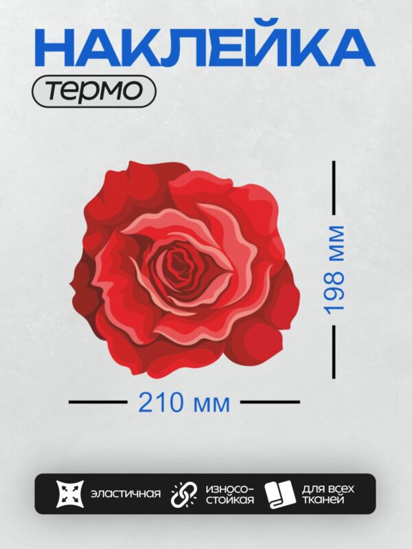 Термонаклейка на одежду DTF / Красная роза с плавными акварельными переходами.