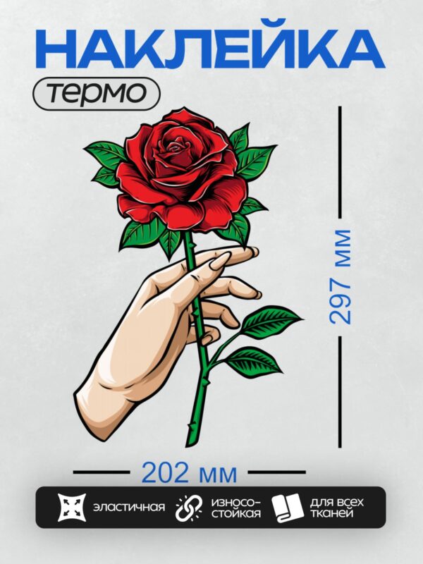 Термонаклейка на одежду DTF / Рука держит красную розу с зелёными листьями.