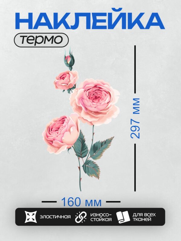 Термонаклейка на одежду DTF / Розовые розы с зелёными листьями, акварельный стиль.