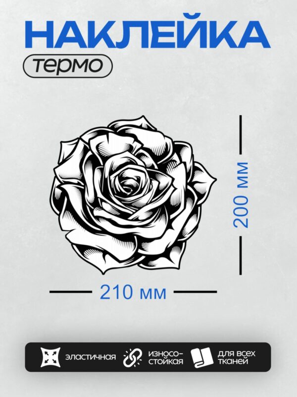Термонаклейка на одежду DTF / Черно-белая роза с завитками и листьями.