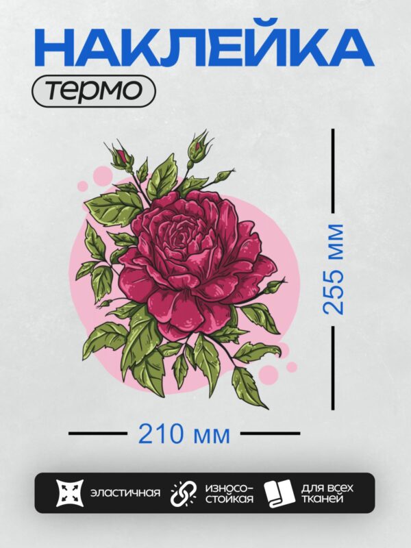 Термонаклейка на одежду DTF / Красная роза с зелёными листьями, векторная графика.