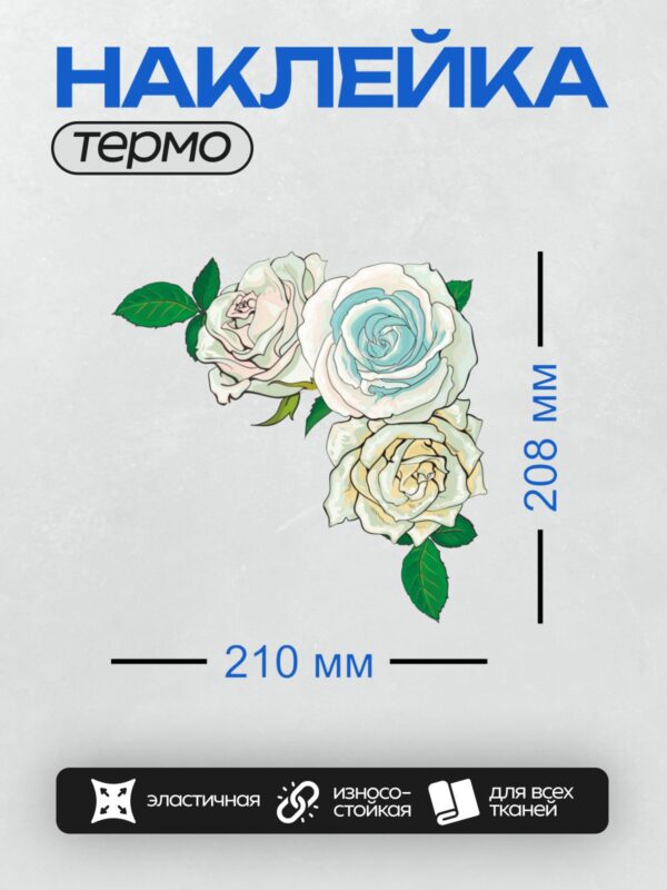 Термонаклейка на одежду DTF / Белые розы с зелёными листьями, векторная графика.